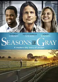 Plakat filmu Seasons of Gray