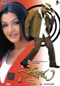 Plakat filmu Soggadu