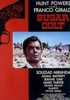 plakat filmu Sugar Colt