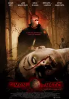 plakat filmu The Man in the maze