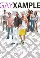 plakat serialu Gayxample