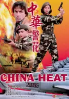 plakat filmu Zhong Hua jing hua
