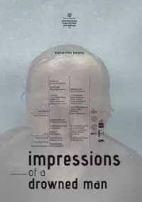 Plakat filmu Impressions of a Drowned Man