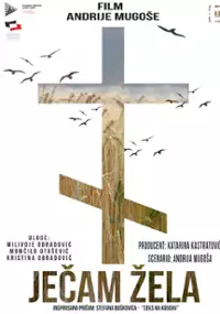 Plakat filmu Jecam zela