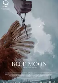 Plakat filmu Błękitny księżyc