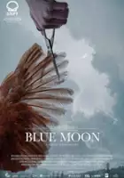 plakat filmuBłękitny księżyc