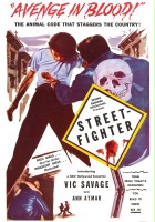 plakat filmu Street-Fighter