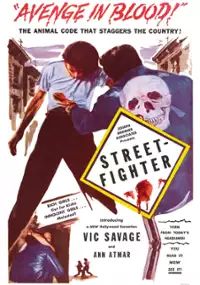 Plakat filmu Street-Fighter