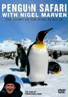 plakat filmu Penguin Safari