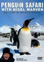 Jeremy Evans / Penguin Safari