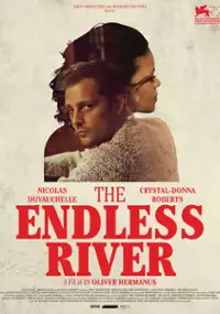 Plakat filmu The Endless River