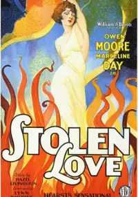 Plakat filmu Stolen Love