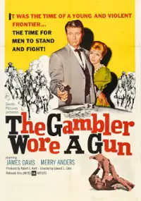 Plakat filmu The Gambler Wore a Gun