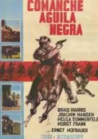 Plakat filmu Die schwarzen Adler von Santa Fe