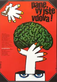 Plakat filmu Jest pan wdową, proszę pana!