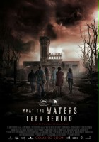 plakat filmu What the Waters Left Behind