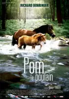 plakat filmu Pom, le poulain