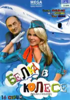 Denis Matrosov / Belka v kolese