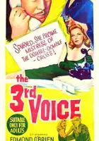 plakat filmu The 3rd Voice