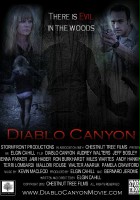 plakat filmu Diablo Canyon
