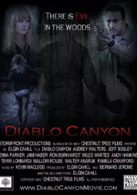 Plakat filmu Diablo Canyon