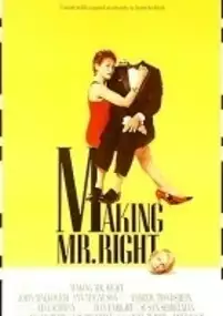 Plakat filmu Mężczyzna idealny