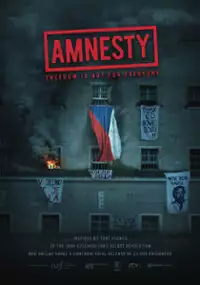 Plakat filmu Amnestia