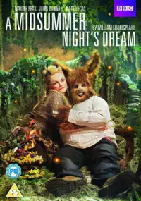 Plakat filmu Sen nocy letniej