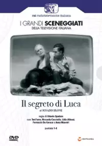 Plakat serialu Il segreto di Luca