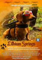 plakat filmu Lithium Springs