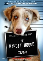 plakat filmu The Bandit Hound