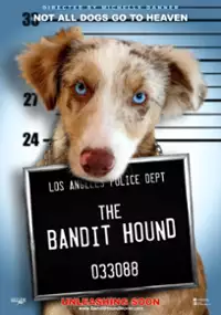 Plakat filmu The Bandit Hound