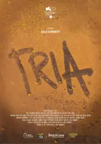 Plakat filmu Tria - del sentimento del tradire