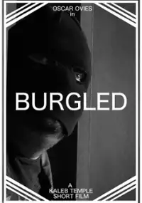 Plakat filmu Burgled