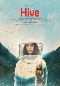 Plakat filmu Kovan