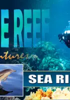 plakat serialu Blue Reef Adventures