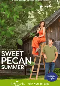 Plakat filmu Sweet Pecan Summer
