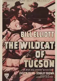 Plakat filmu The Wildcat of Tucson