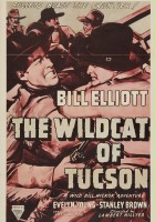 plakat filmu The Wildcat of Tucson