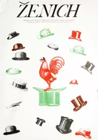 Plakat filmu Völegény