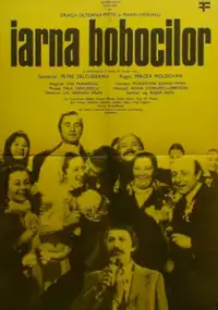 Plakat filmu Iarna bobocilor