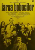 plakat filmu Iarna bobocilor