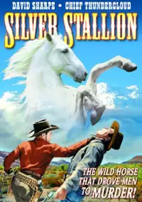Plakat filmu Silver Stallion