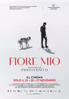 plakat filmu Fiore mio