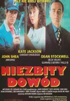 plakat filmu Niezbity dowód