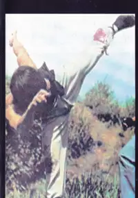 Plakat filmu Wang feng pao yu