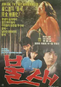 Plakat filmu Bulsae