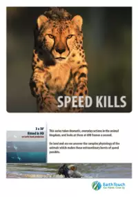 Plakat serialu Zabójcza prędkość