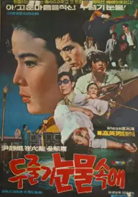 Plakat filmu Dulchulgi nunmulsoge