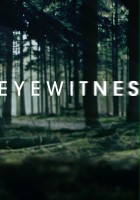 plakat filmu Eyewitness